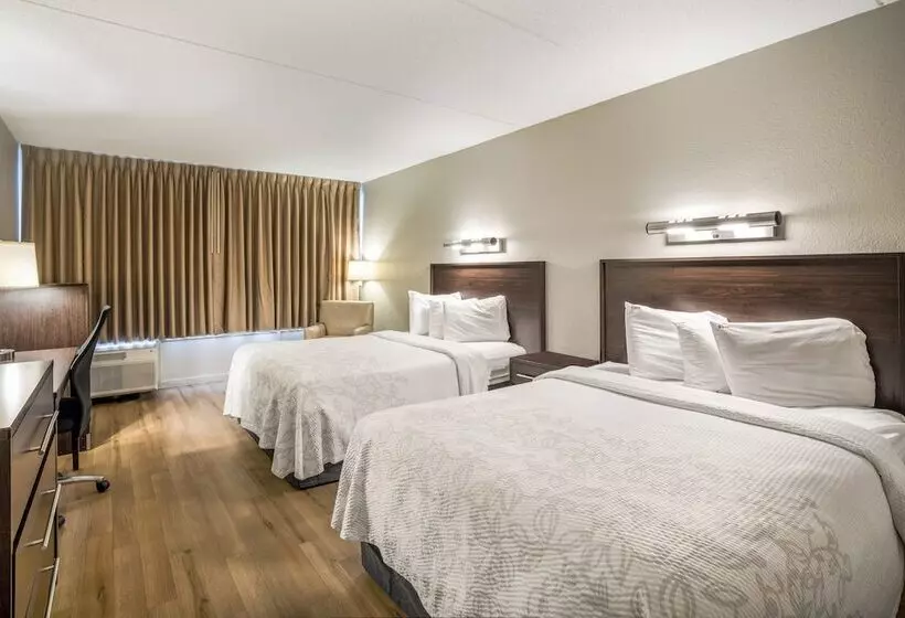 ホテル Red Roof Inn Plus+ Boston   Woburn/ Burlington
