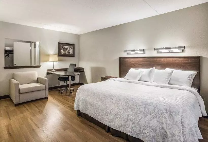 ホテル Red Roof Inn Plus+ Boston   Woburn/ Burlington