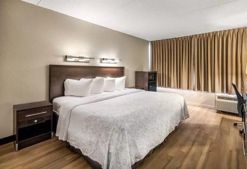 ホテル Red Roof Inn Plus+ Boston   Woburn/ Burlington