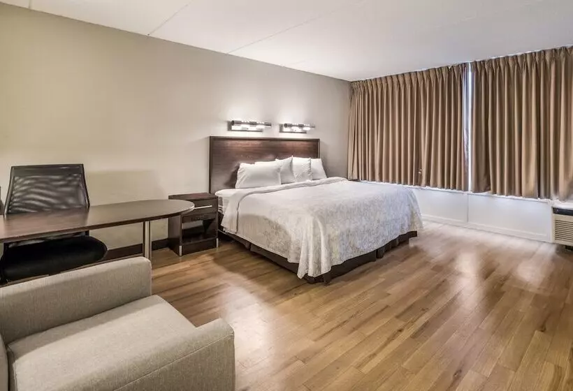 ホテル Red Roof Inn Plus+ Boston   Woburn/ Burlington