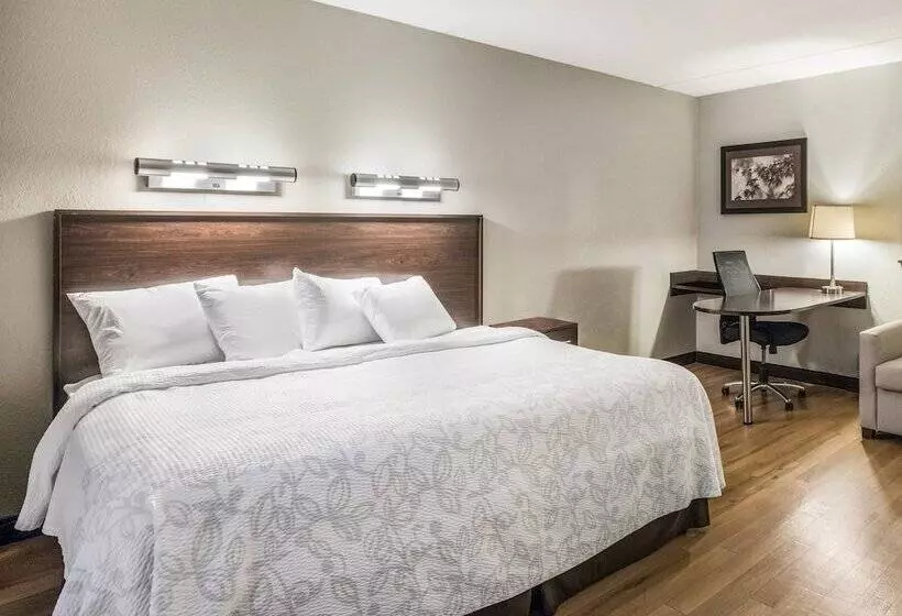 ホテル Red Roof Inn Plus+ Boston   Woburn/ Burlington