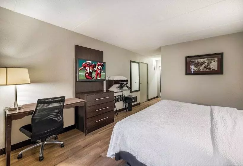 ホテル Red Roof Inn Plus+ Boston   Woburn/ Burlington