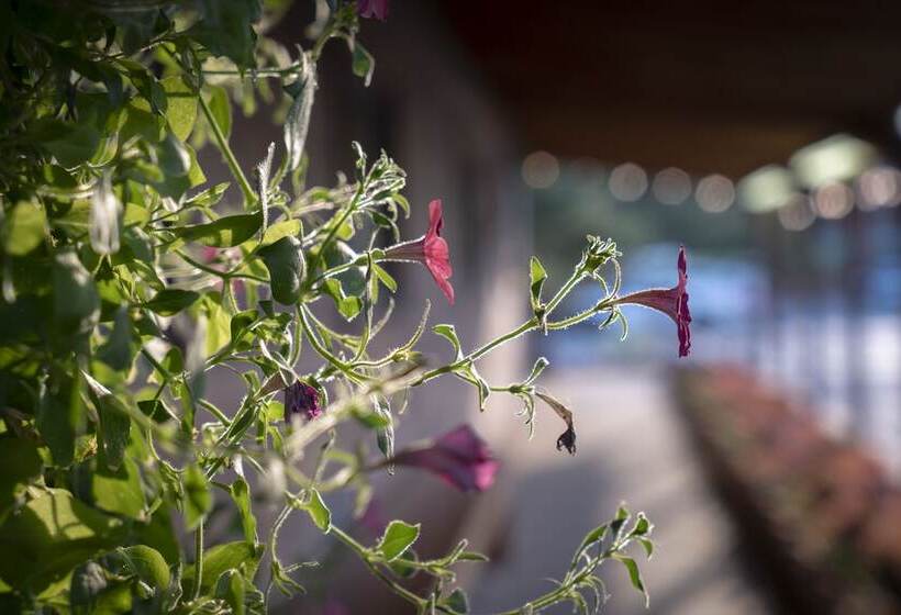 هتل Red Stone Inn