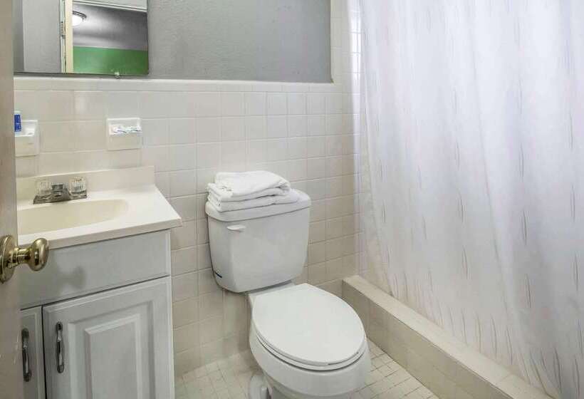 Отель Rodeway Inn & Suites Winter Haven Chain Of Lakes