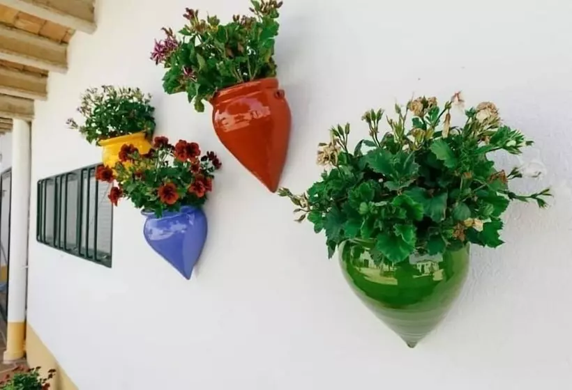 ホテル Cal Rajoler