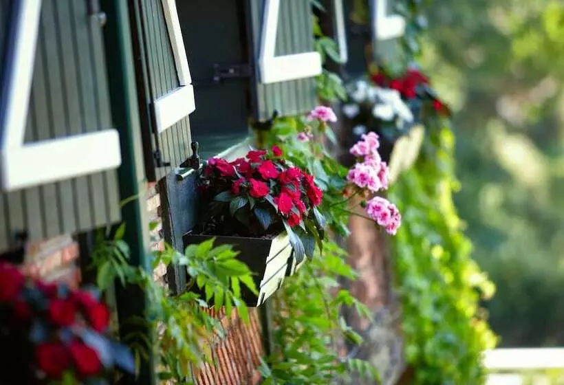 Hotelli Ibarra Zalla