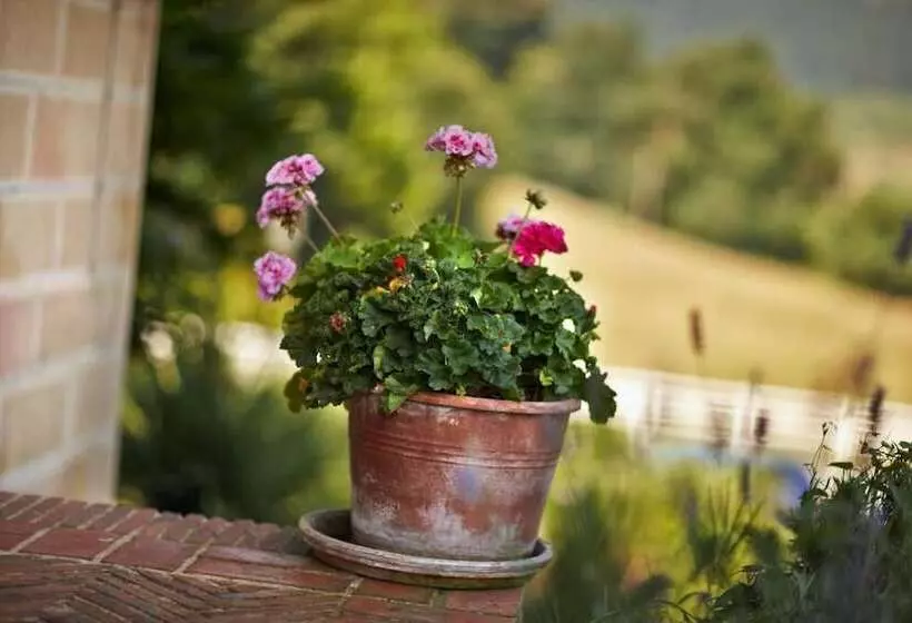 Hotelli Ibarra Zalla