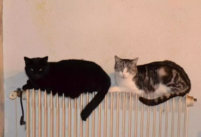 ペンション Domaine De Benveau