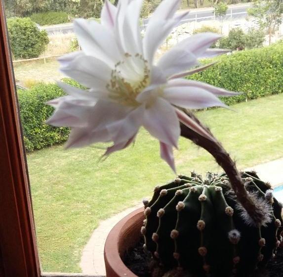 بنسيون Epic Guest House