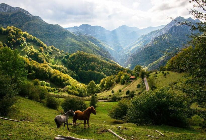 The Old Palace Tower / La Torre Del Palación