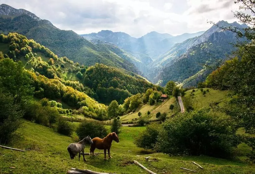 The Old Palace Tower / La Torre Del Palación