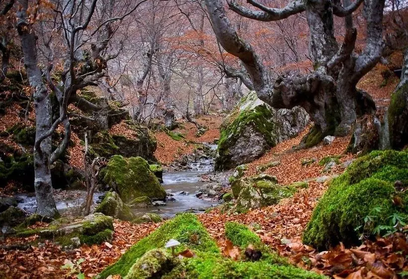 The Old Palace Tower / La Torre Del Palación