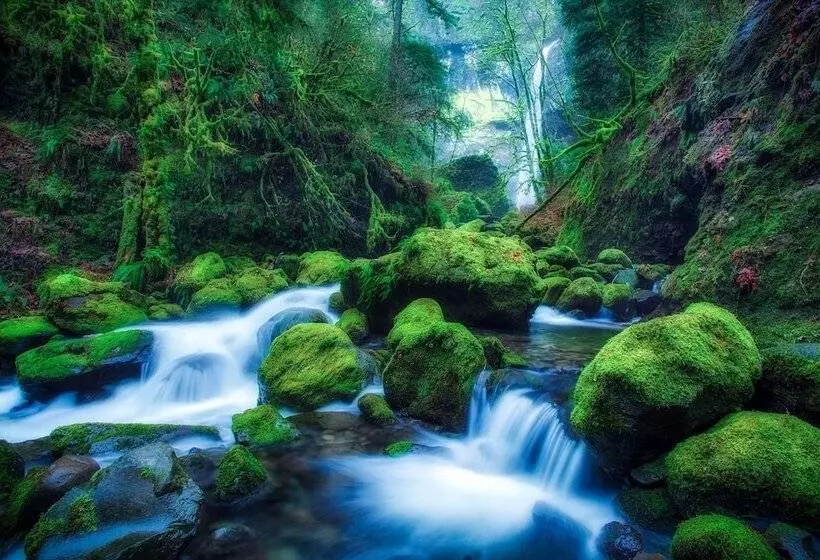 The Old Palace Tower / La Torre Del Palación
