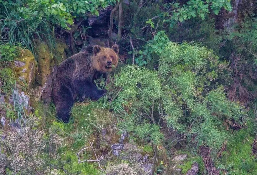 The Old Palace Tower / La Torre Del Palación