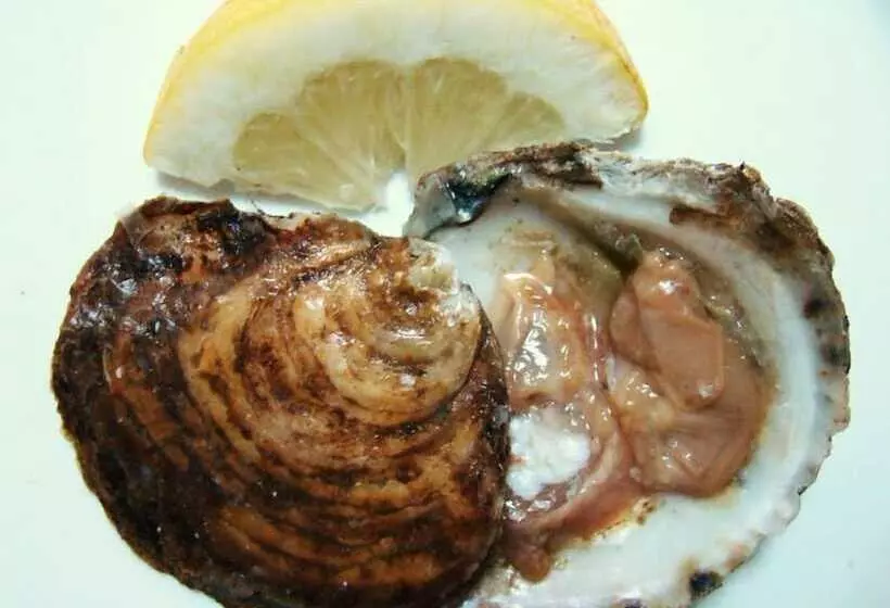 The Old Palace Tower / La Torre Del Palación