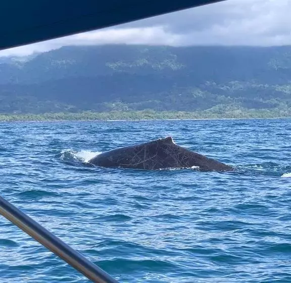 Hotelli Coco Beach Village