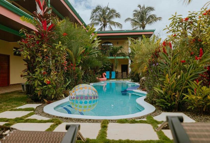 酒店 Coco Beach Village