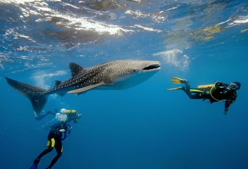 هتل Cornerstay At Dhangethi