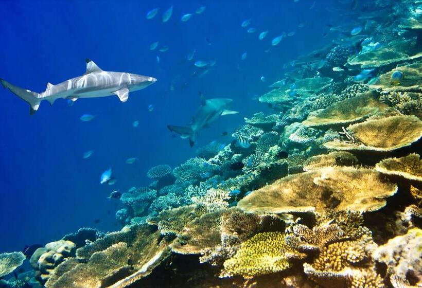 هتل Cornerstay At Dhangethi