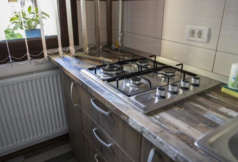 بنسيون David's Private House