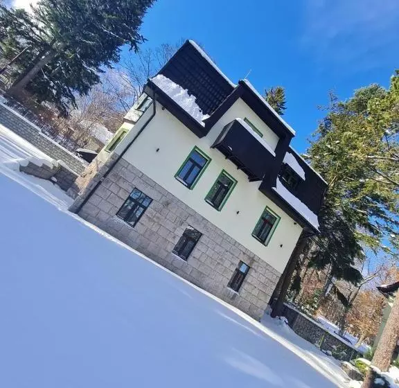 ペンション Willa Hanka Pakiety świąteczne Z Wyzywieniem