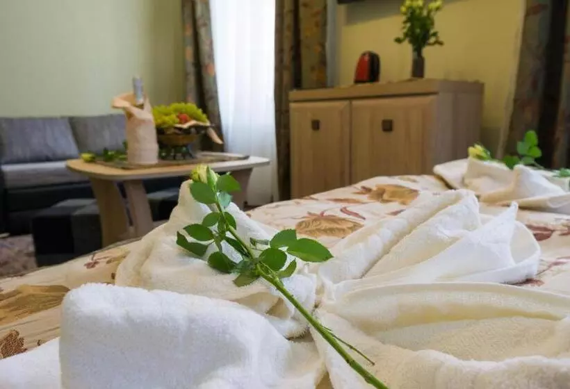 ペンション Willa Hanka Pakiety świąteczne Z Wyzywieniem