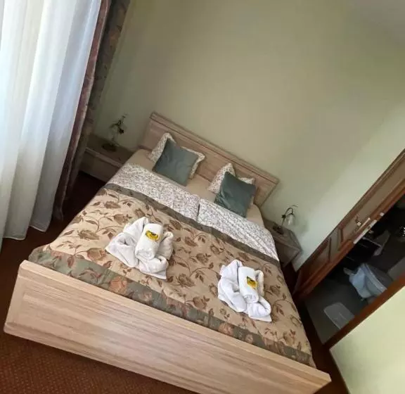 ペンション Willa Hanka Pakiety świąteczne Z Wyzywieniem