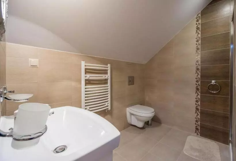 ペンション Willa Hanka Pakiety świąteczne Z Wyzywieniem