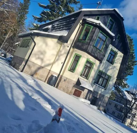 ペンション Willa Hanka Pakiety świąteczne Z Wyzywieniem