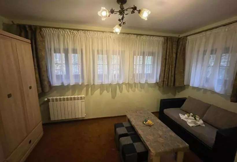 ペンション Willa Hanka Pakiety świąteczne Z Wyzywieniem