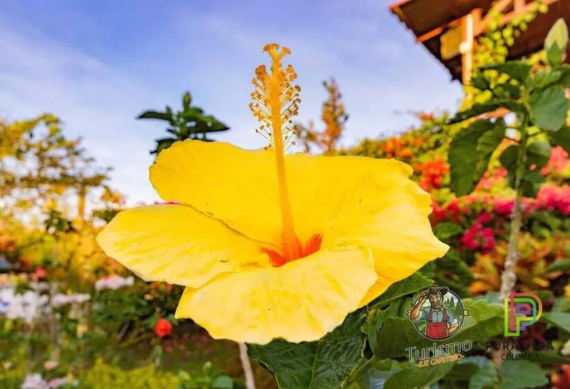 Tucurinca Hotel & Spa