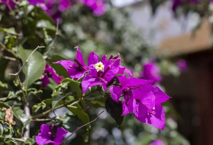 Tucurinca Hotel & Spa