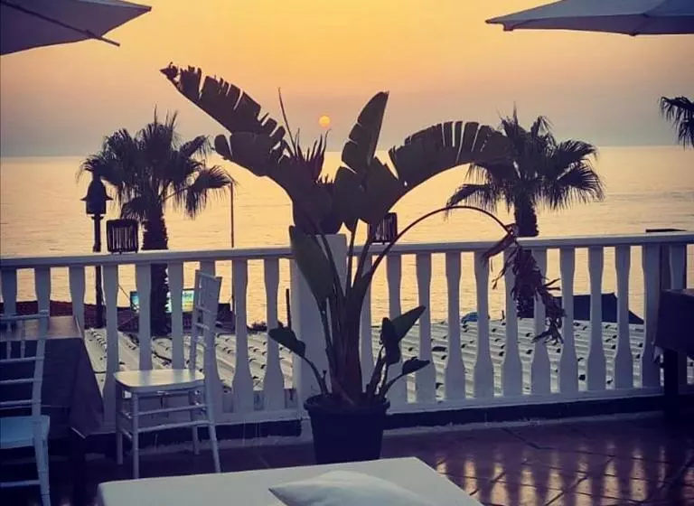 ベッドアンドブレックファースト Eneide