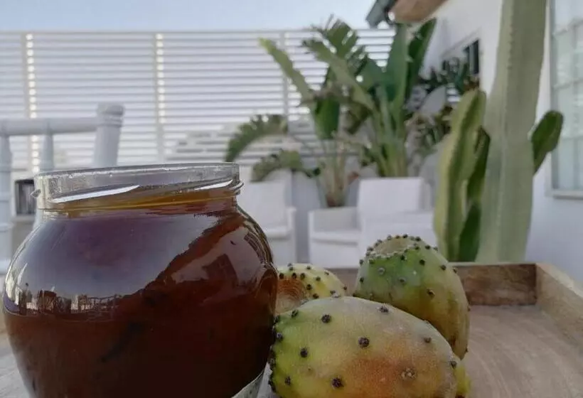 ベッドアンドブレックファースト Eneide