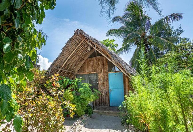 酒店 Paje Beach Bandas