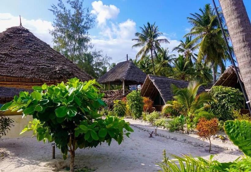 酒店 Paje Beach Bandas