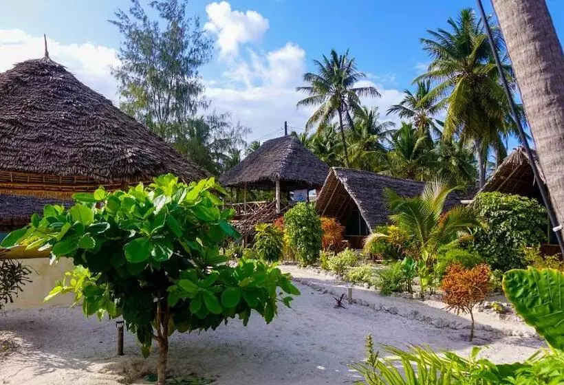 ホテル Paje Beach Bandas