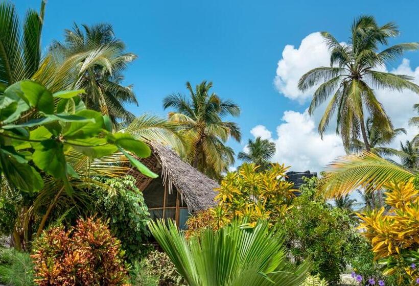 酒店 Paje Beach Bandas