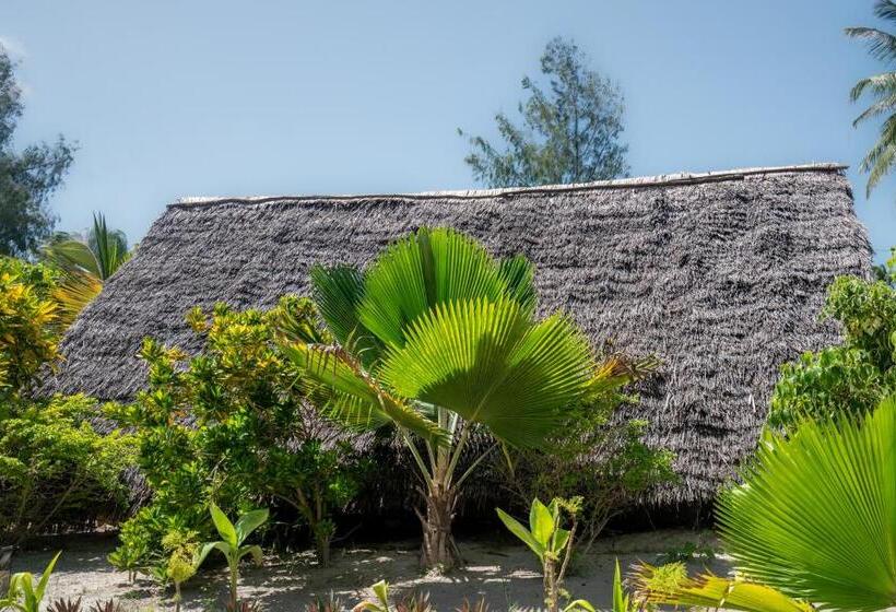 酒店 Paje Beach Bandas