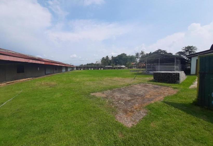 בית מלון כפרי Oyo 2858 Vafa Guesthouse