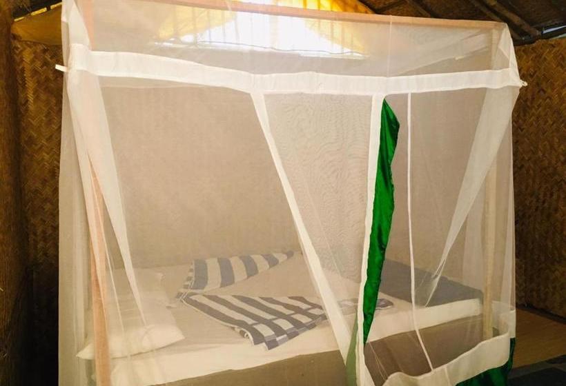 渡假胜地  Yoga Culture Palolem