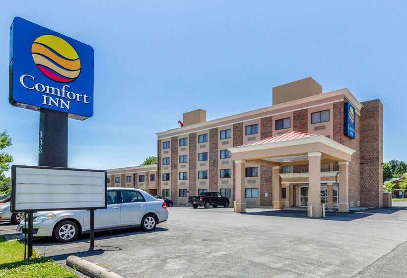 ホテル Comfort Inn Red Horse Frederick