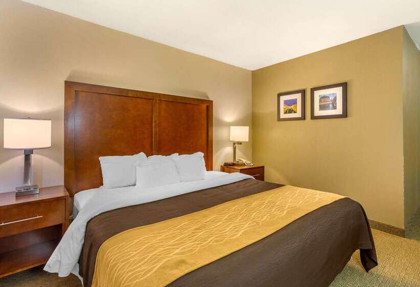ホテル Comfort Inn Red Horse Frederick