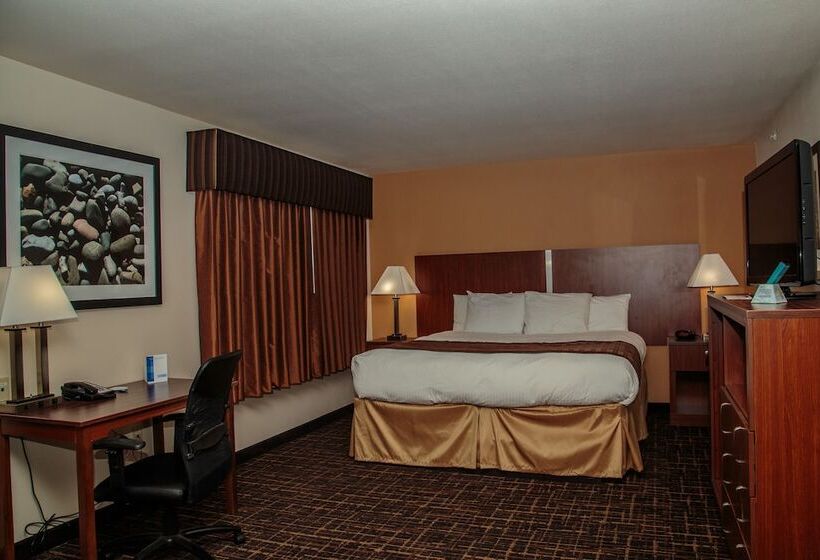 酒店 Richland Inn And Suites