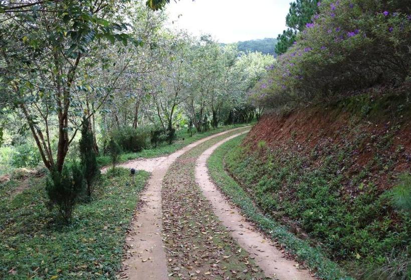 Курорт Lan Anh Village