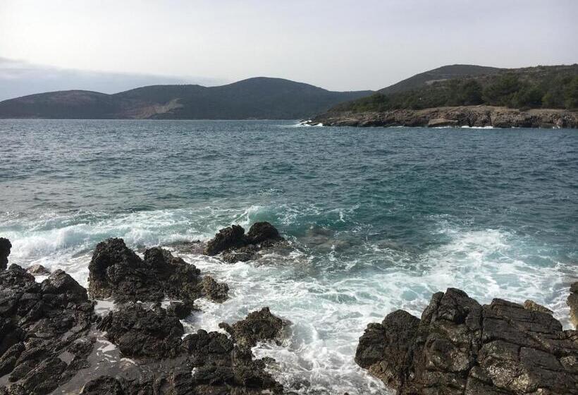 Apartments Villa Viktoria