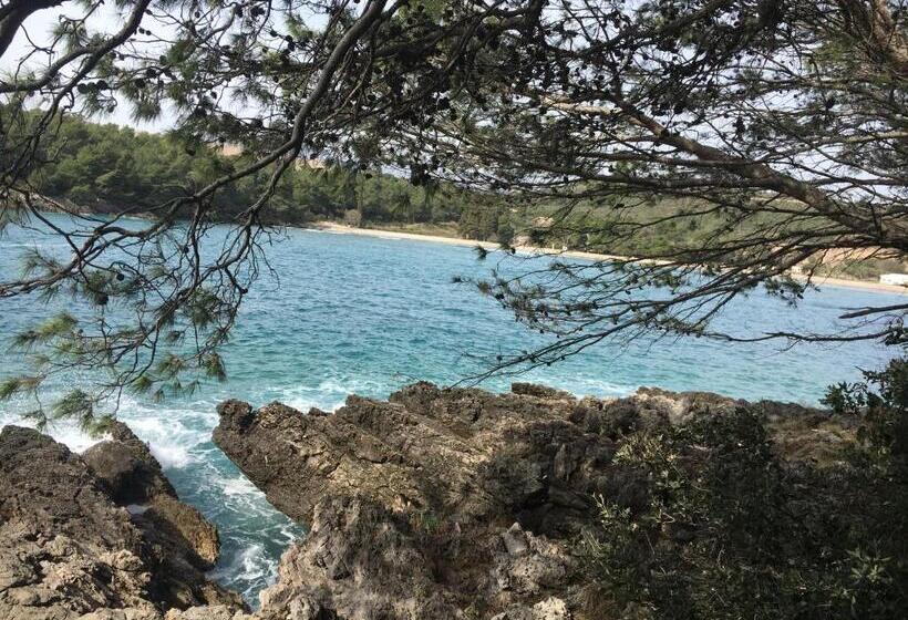 Apartments Villa Viktoria