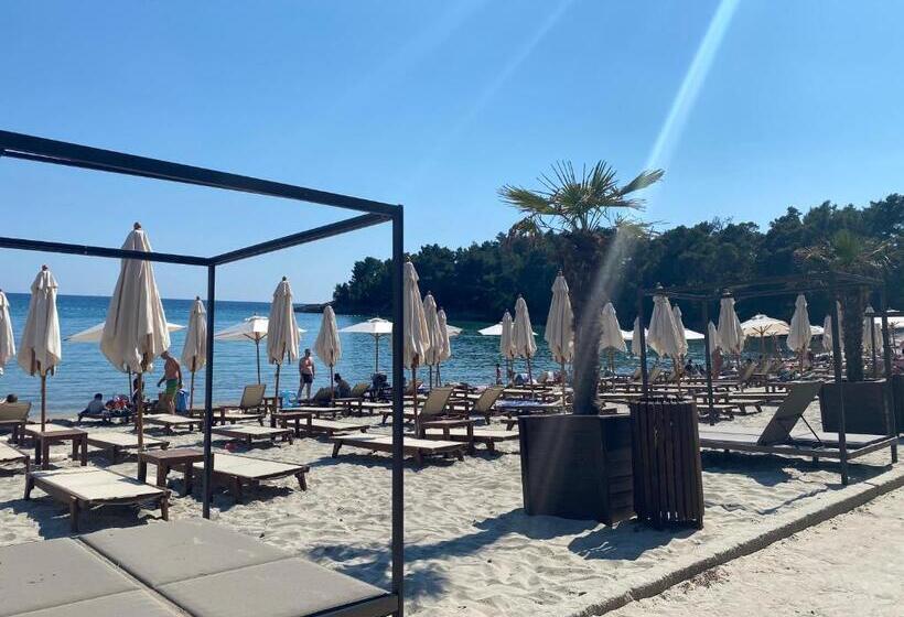 Apartments Villa Viktoria