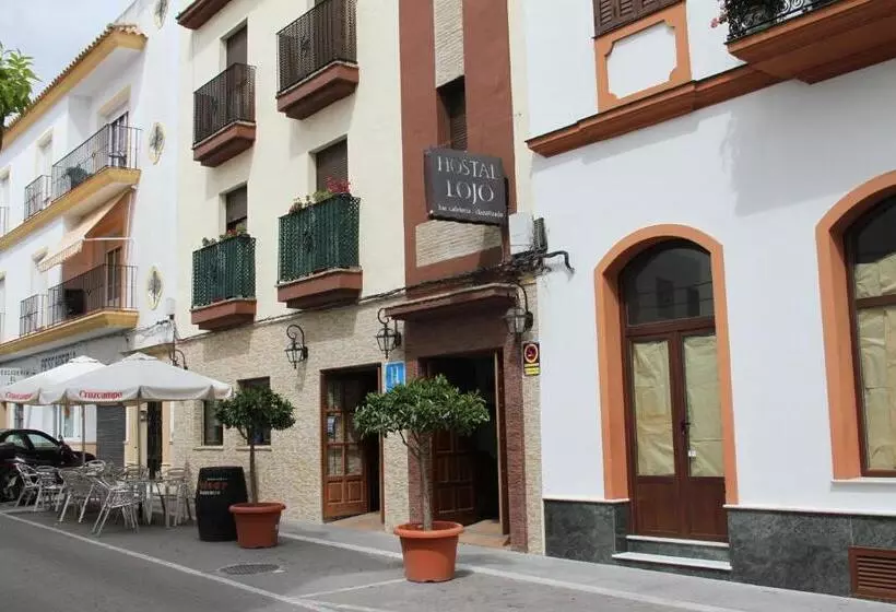 Hostal Lojo