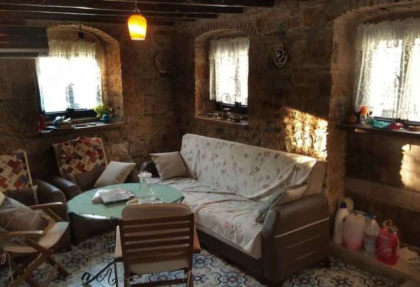 Пансион Isik Konukevi